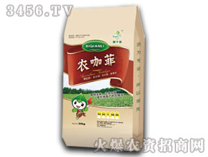 �_ʩ��-�r����-��ǧ��