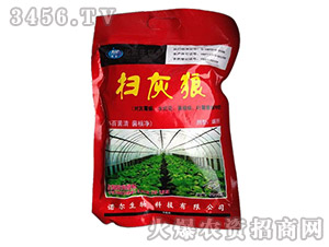 �پ���-�Z���߻���-�Z������