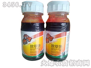 ���ݿ�-�Z������