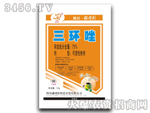 �ڵ���-������