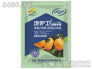 ���ٌ��Ú�����-���o�l-����