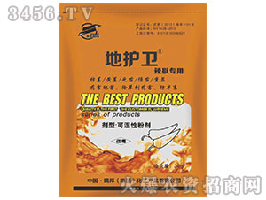 �������Ú�����-���o(h��)�l(w��i)-����