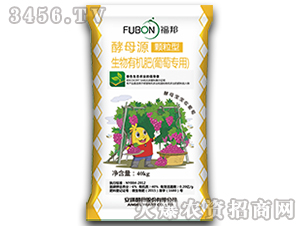 ���ь��������ЙC��-����-����