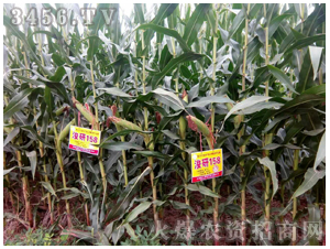 ����158-�����r�I