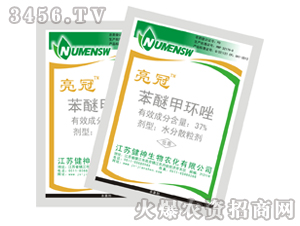 37%���Ѽ׭h��ˮ��ɢ����-����-����