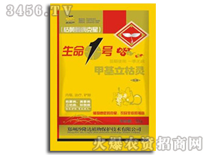 �׻������`������-����1̖-ɳ¡�_