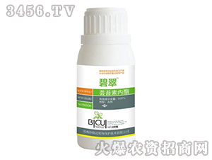 �|̦�؃���������-�̴�-ɳ¡�_