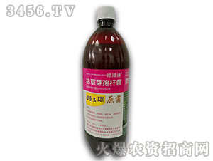 �ݲ�ѿ�ߗU��-���t��120-������