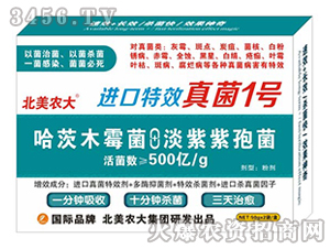 �M(j��n)�����1̖-�����r(n��ng)��