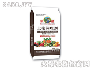 �����{�턩-����-��΢����