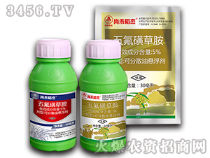 5%����ǲݰ�-�к̵���-�к����_