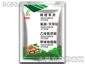 ��������݄�-������-�����S