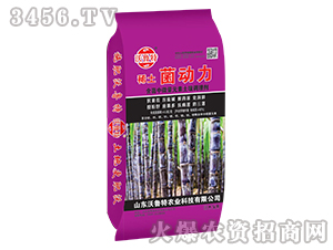 ϡ�������������ጣ�ã�-������