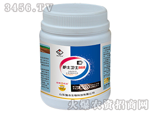 ��������������-�o���lʿ868-���r����