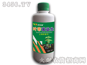 �����ޏ̈́�-�~�ƾ�����-�°��r