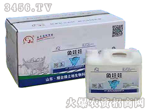 魚娃娃-金蟾-綠土地