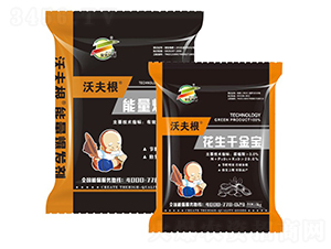 ����ǧ����-�ַ��-���`�S