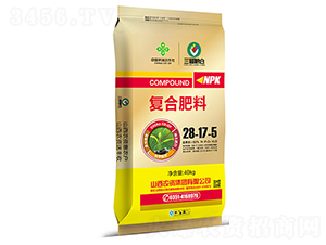 �ͺϷ���28-17-5-�r�Y���F