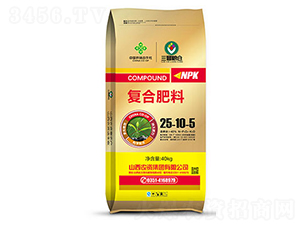 �ͺϷ���25-10-5-�x�P-�r�Y���F