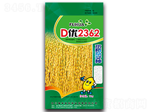 D��2362-ˮ���s���N-���A�߿�