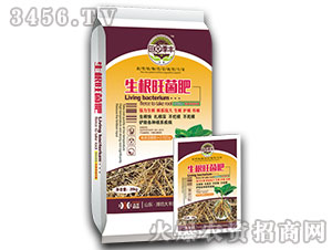 ����������-��@���S-���S�ʘI 