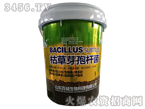 �ݲ�ѿ�ߗU��-��������