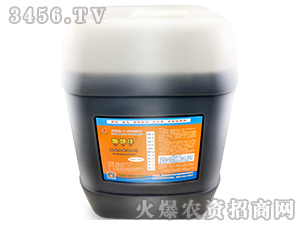 �}�A�����{�턩-ʩ�ؼ�-�A�����B