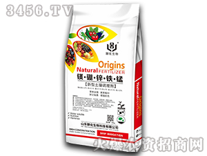 �V���\�F�i���������{�턩-�Ļ�����