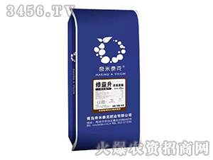 �����ޏ̈́�-������-����̩��