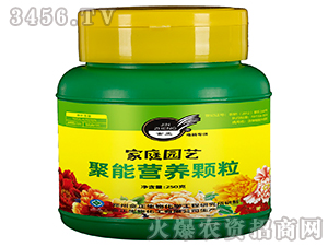 ���ܠI�B�w��-��������