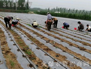 2020��鱘�ӆ�λ����Ŀ11