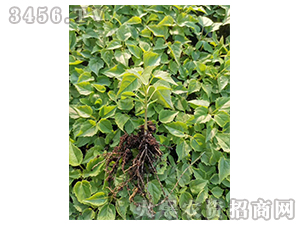 2020��鱘�ӆ�λ����Ŀ1