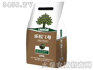 ����������ޏ̈́�-����1̖-�����r�I