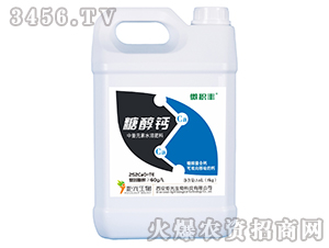 ����Ԫ��ˮ�ܷ���-�Ǵ��}-���