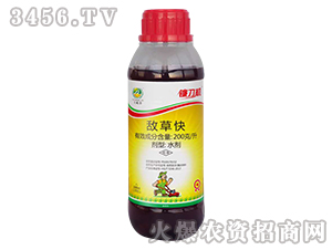 �����Գ��݄�-砵��C-���ɽ�