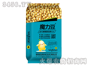 ����������l�ʹ󶹾���-ħ����-�Z����