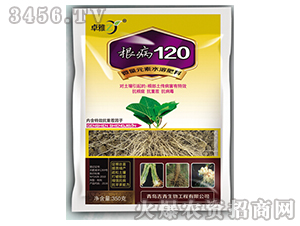 ����120-׿��-����