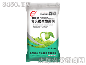 �S����ͺ�΢�������-���S��-�����r�I