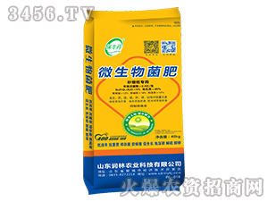 ɳ�ǽی���΢�������-���S��-�����r�I