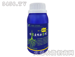 �����P�����焩-׿�R��-׿���r�I