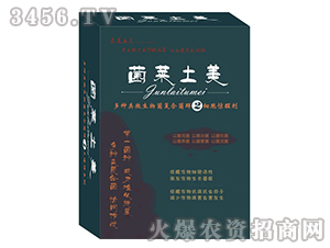 �����ޏ̈́�-���R����2̖-׿���r�I