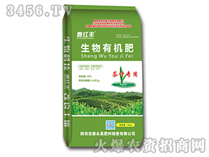 ���~���������ЙC��-ϲ�t�S-���r��