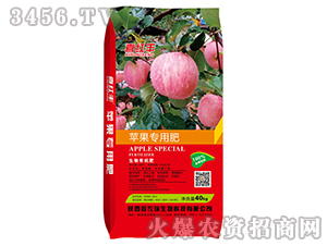 �O�����������ЙC��-ϲ�t�S-���r��