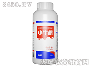 Сţ��-��(sh��)��ֲ��