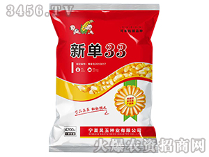 ��33-���׷N��-܎��N�I