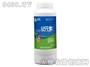 12Ԫ��-�ػ�-�Y�����