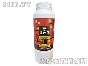 ��ɫ�n-�ػ�-�Y�����