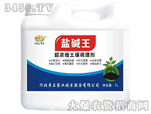 ����s�����{(di��o)�턩-�}�A��-����