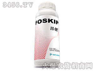 ����-Ҽ������