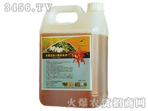 �����{(di��o)�턩���}�A�،��ã�-�̿�-�w���G��